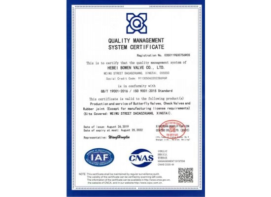 ISO 9001